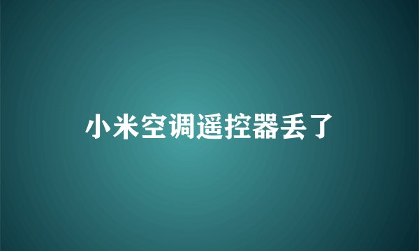 小米空调遥控器丢了