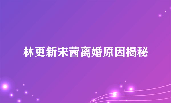 林更新宋茜离婚原因揭秘