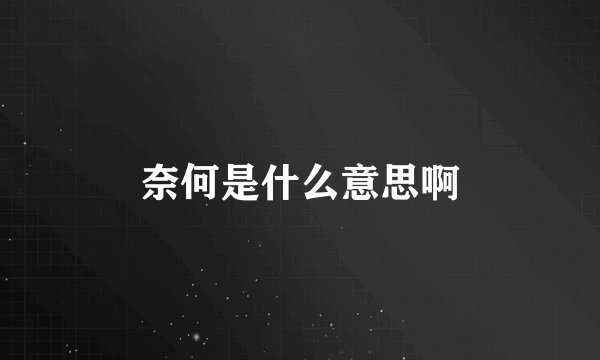 奈何是什么意思啊