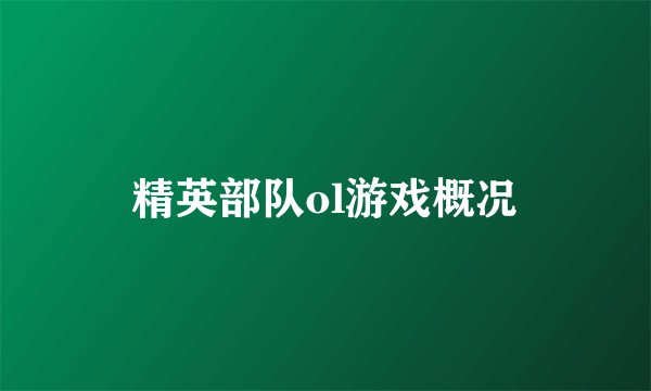 精英部队ol游戏概况