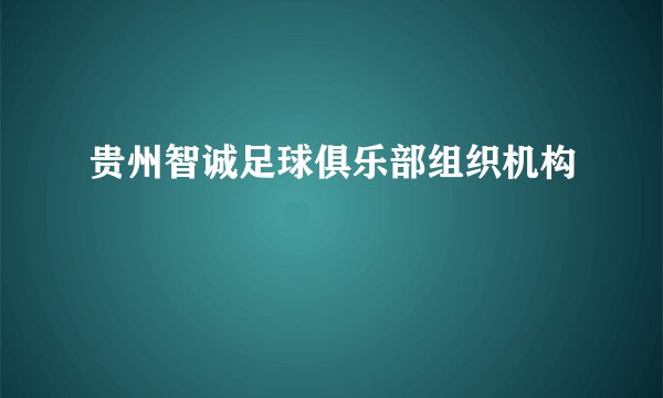 贵州智诚足球俱乐部组织机构