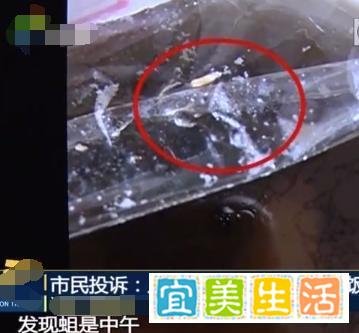 月子中心一个月两万，你好意思让我坐月子的时候吃蛆？