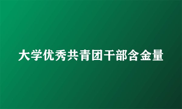 大学优秀共青团干部含金量