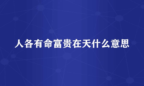 人各有命富贵在天什么意思