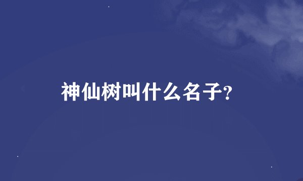 神仙树叫什么名子？