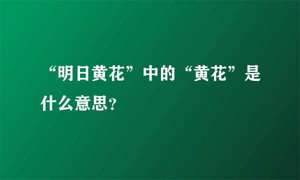 “明日黄花”中的“黄花”是什么意思？