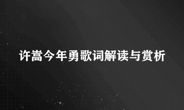 许嵩今年勇歌词解读与赏析