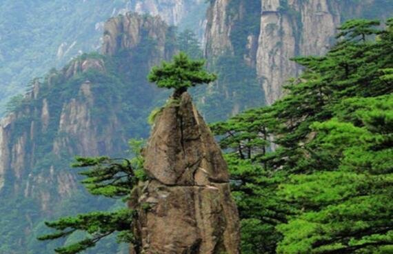 梦笔生花是什么意思 梦笔生花成语典故
