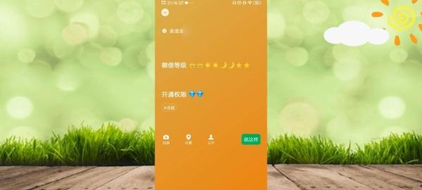 微信怎么看个人等级