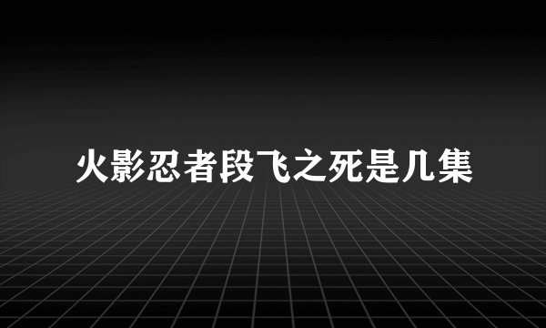 火影忍者段飞之死是几集