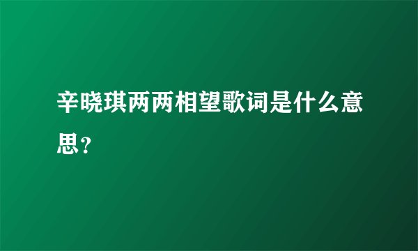 辛晓琪两两相望歌词是什么意思？