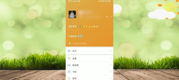 微信怎么看个人等级