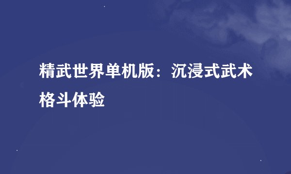 精武世界单机版:沉浸式武术格斗体验