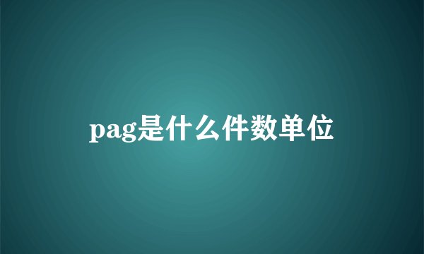 pag是什么件数单位
