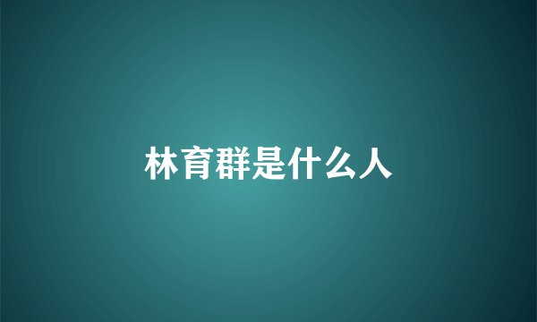 林育群是什么人