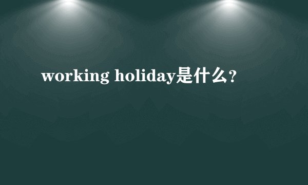 working holiday是什么？