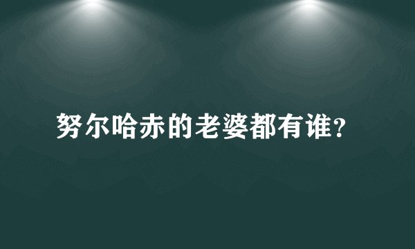 努尔哈赤的老婆都有谁？