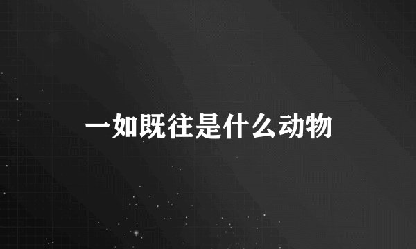 一如既往是什么动物