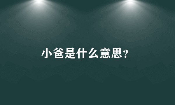 小爸是什么意思?