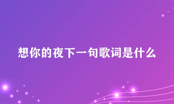想你的夜下一句歌词是什么