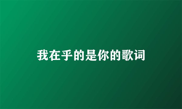 我在乎的是你的歌词