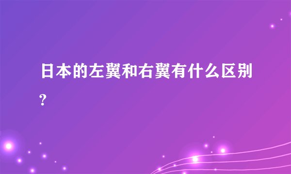 日本的左翼和右翼有什么区别?