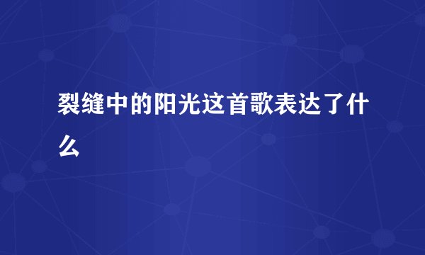 裂缝中的阳光这首歌表达了什么