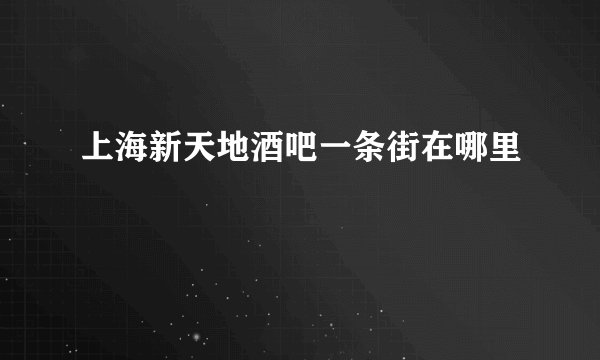 上海新天地酒吧一条街在哪里