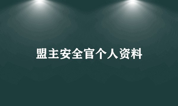 盟主安全官个人资料