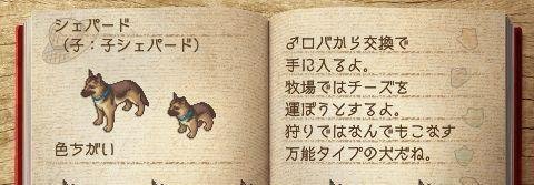 《欢迎来到绵羊村》神兽养成计划(二)