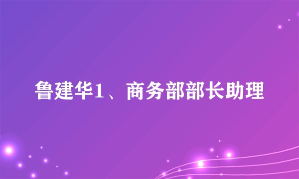 鲁建华1、商务部部长助理