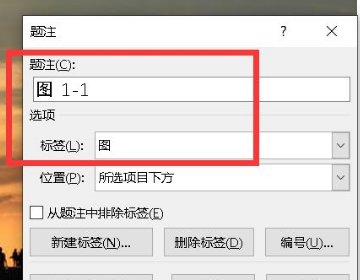 word图1-1怎么设置的?