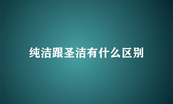 纯洁跟圣洁有什么区别
