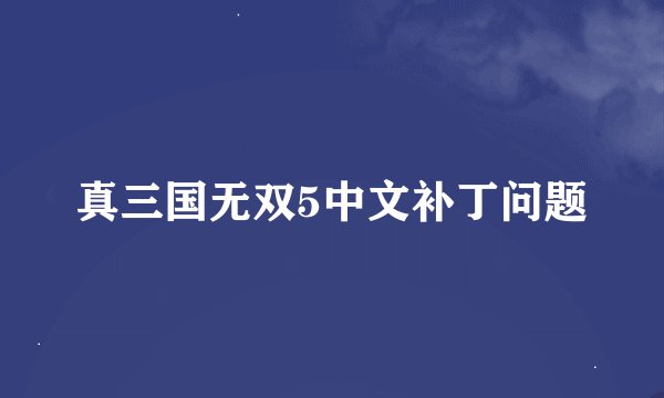 真三国无双5中文补丁问题