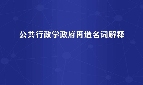 公共行政学政府再造名词解释