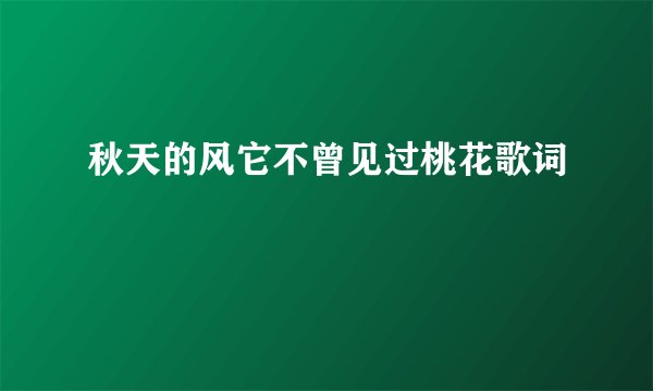 秋天的风它不曾见过桃花歌词