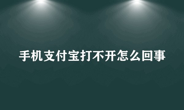 手机支付宝打不开怎么回事