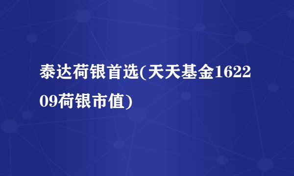 泰达荷银首选(天天基金162209荷银市值)