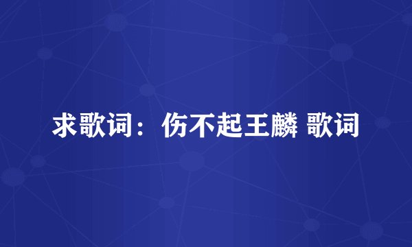 求歌词：伤不起王麟 歌词