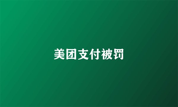 美团支付被罚