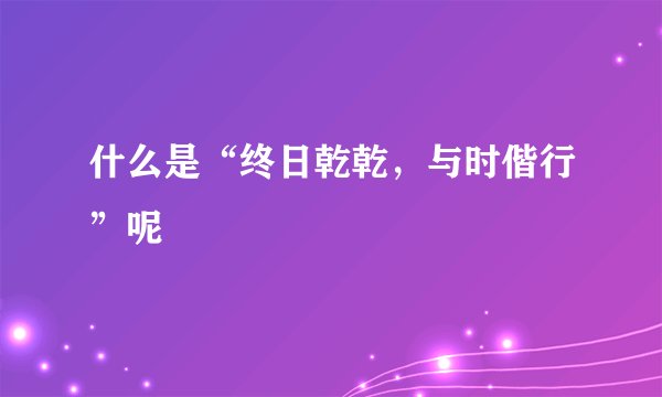 什么是“终日乾乾，与时偕行”呢