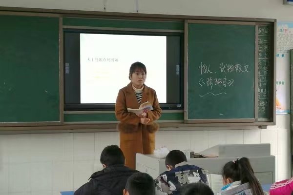 纤细的意思是什么