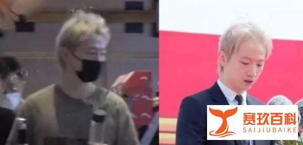 周扬青与罗昊约会，亲密相依，疑似恋情实锤？