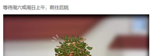 夏日传奇姐姐jenny攻略