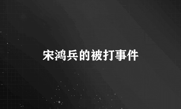 宋鸿兵的被打事件