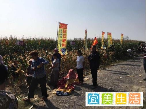 施用祥云健康肥,种出高产高质农作物