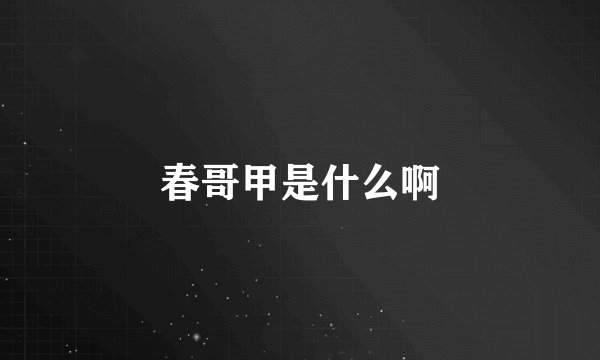 春哥甲是什么啊