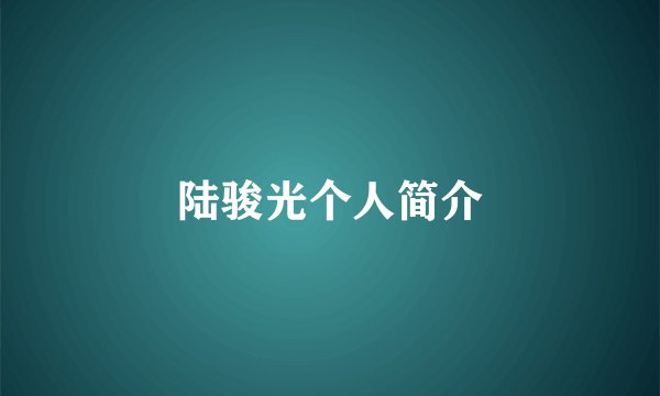 陆骏光个人简介