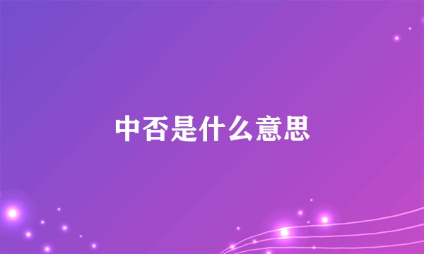 中否是什么意思