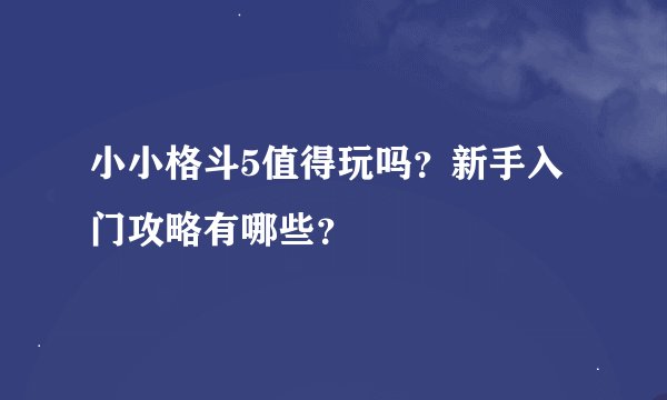 小小格斗5值得玩吗？新手入门攻略有哪些？